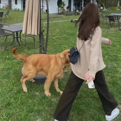 弗兰茨·布鲁姆的暴行